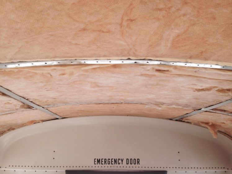 Ceiling Insulation Removal